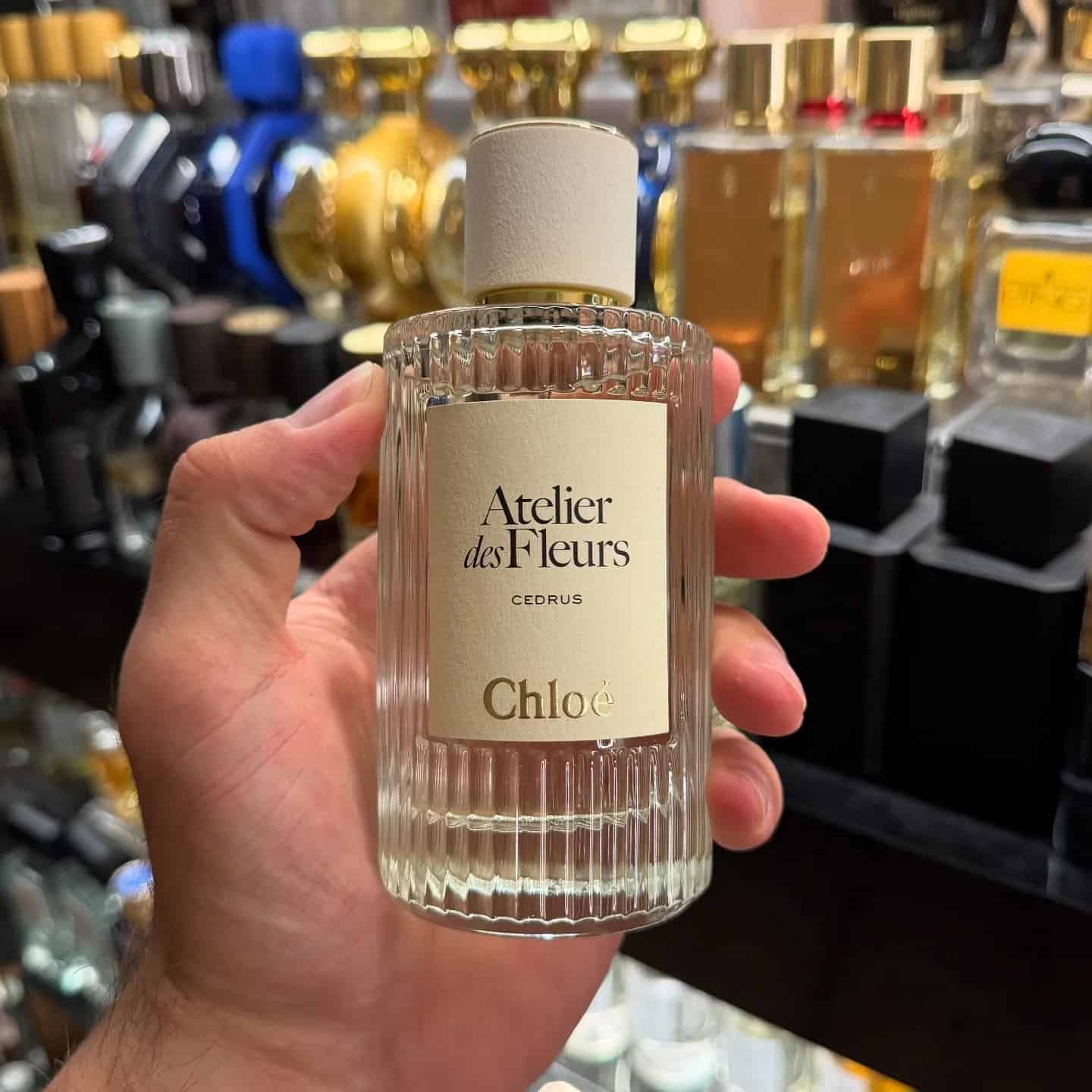Парфум Chloé Cedrus