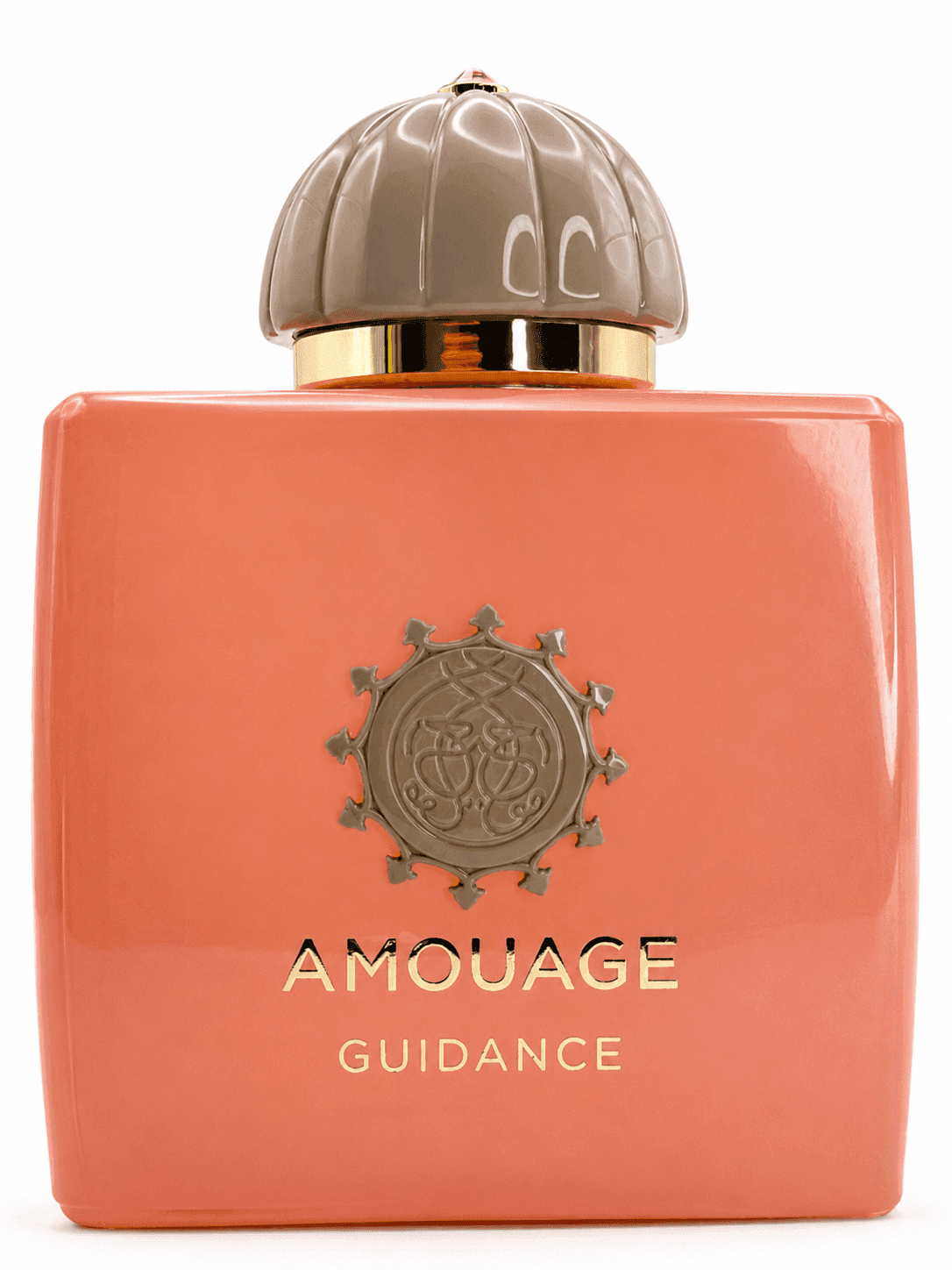 Парфум Amouage Guidance